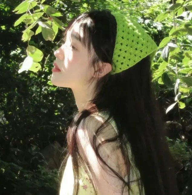 屋顶上的轻骑兵